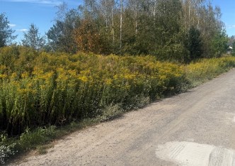 działka na sprzedaż - Czosnów, Łomna