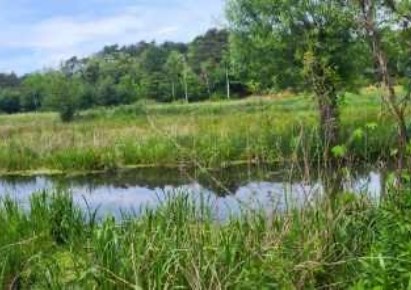 działka na sprzedaż - Brochów, Piaski Duchowne