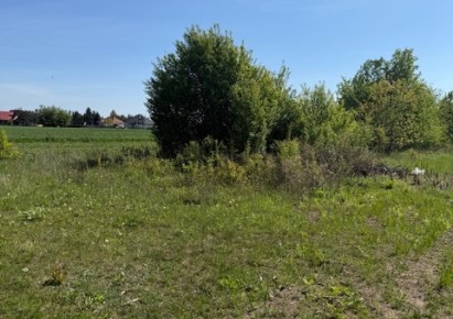 działka na sprzedaż - Czosnów, Kazuń Polski