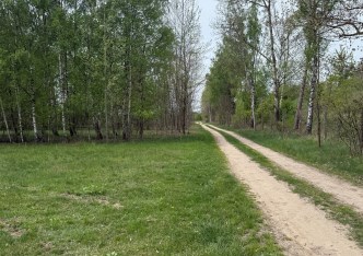 działka na sprzedaż - Czosnów, Małocice