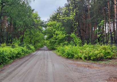 działka na sprzedaż - Wilga