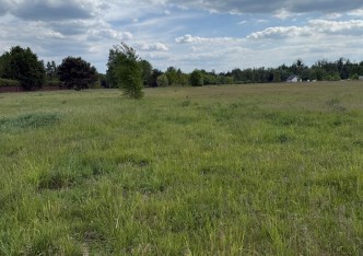 działka na sprzedaż - Czosnów, Małocice