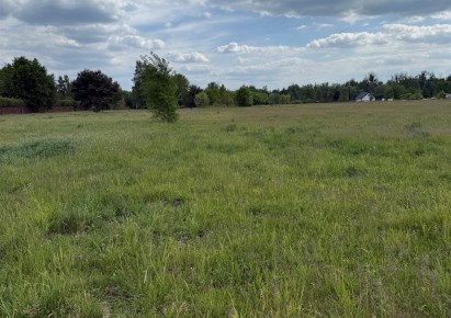 działka na sprzedaż - Czosnów, Małocice