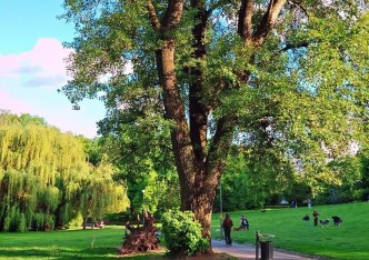 mieszkanie na sprzedaż - Warszawa, Mokotów, Dolny Mokotów, Promenada