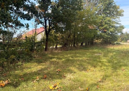 działka na sprzedaż - Czosnów, Małocice